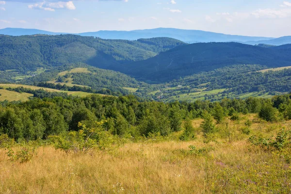 Grassy Meadows Hills Ukrainian Highlands Carpathian Countryside Sunny Summer Afternoon — Stock Photo, Image