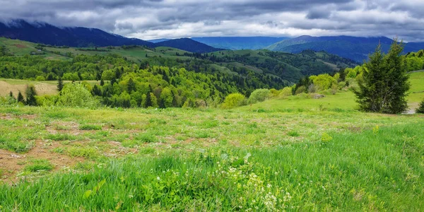 Mountainous Carpathian Countryside Morning Perfect Outdoor Experience Nature — Stock fotografie