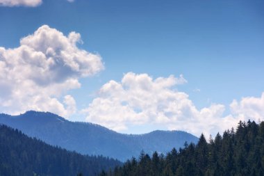 Güneşli hava tahmini arka planı. Mavi gökyüzü ve ufukta beyaz bulutlar.