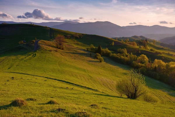 Stunning Sunset Rural Mountain Valley Carpathian Countryside Scenery Spring — Foto de Stock