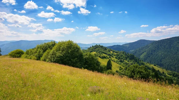 Grasbewachsene Wiesenlandschaft Der Ukrainischen Berge Sommerlandschaft Der Karpaten Einem Warmen — Stockfoto