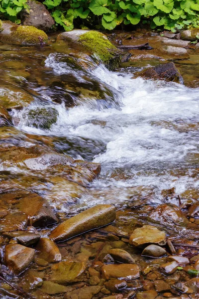 Мох Покрыл Камни Ручье Природный Ландшафт Лесу Река — стоковое фото