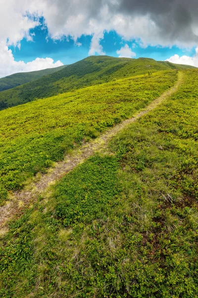 Sentiero Attraverso Prati Alpini Paesaggio Verde Montagna Con Dolci Colline — Foto Stock