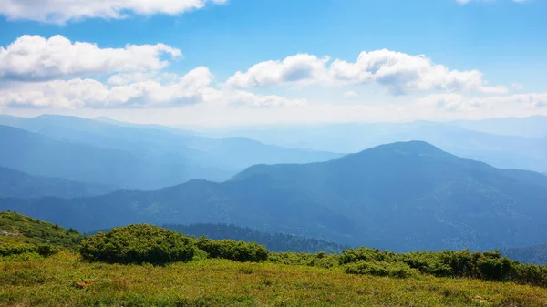 Szlak Turystyczny Przez Karpaty Letnie Krajobrazy Natury Pięknymi Widokami Otwartymi — Zdjęcie stockowe