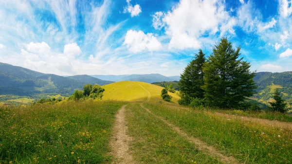 丘や草原を抜ける道です トランスカルパシアの山岳地帯を探索してください ウクライナの夏休み — ストック写真