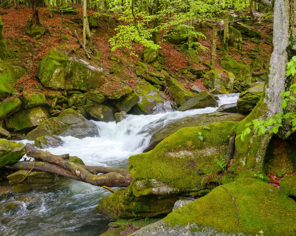 Río Bosque Entre Piedras Paisaje Naturaleza Aire Libre Primavera —  Fotos de Stock