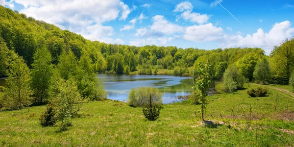 Paisaje Con Lago Montaña Bosque Colina Bajo Cielo Con Nubes —  Fotos de Stock