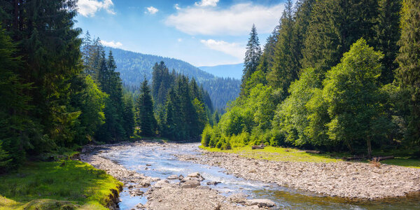 природные пейзажи с горной рекой. зеленый фон окружающей среды с камнями на берегу и лесистые холмы
