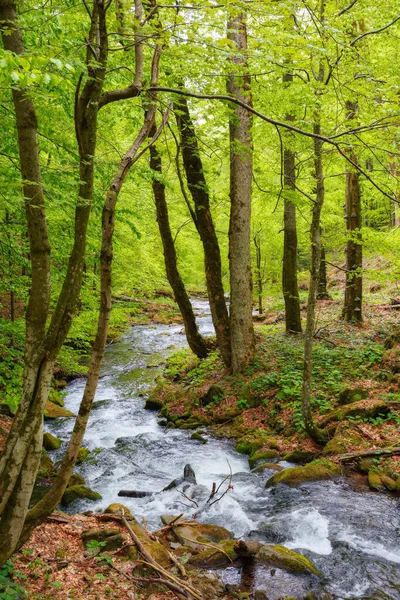 Patak Erdőben Sziklák Között Vidéki Táj Tavasszal Szépség Természetben — Stock Fotó