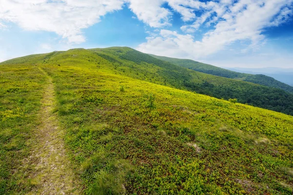 steep path up the hill. carpathian mountain landscape in summer. hard way to success concept