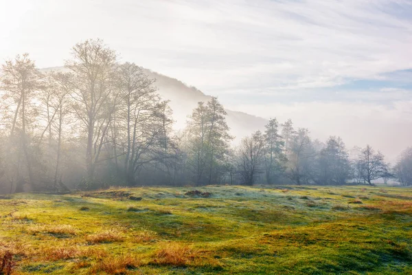 stock image countryside landscape on a misty sunrise. wonderful nature fall scenery in morning light. deciduous forest on a green grassy meadow in fog. stunning weather in autumn