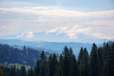 İlkbaharda dağlık kırsal alandaki orman tepeleri. Sabah vakti doğa manzarası bulanık bir ışık. ekoloji ve çevre arkaplanı
