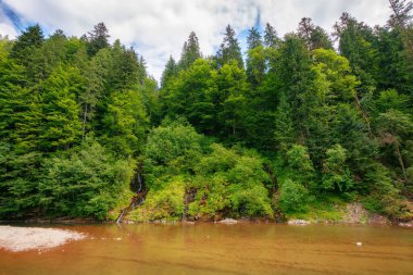 Nehir manzaralı kırsal bir yer. Sahildeki ağaçlar. Gökyüzünde bulutlar olan güneşli yaz havası