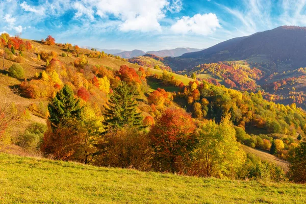 美丽的山景惊艳极了 美丽的风景与山丘 草地和森林 如果秋天的叶子 在阳光灿烂的日子里 田园诗般的自然景观 — 图库照片