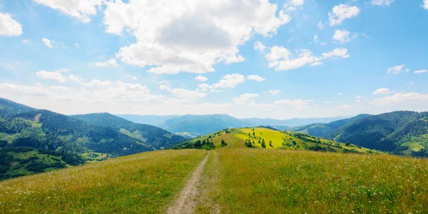 Weg Durch Almwiesen Und Weiden Bergige Landschaft Sommer Sonniger Nachmittag — Stockfoto