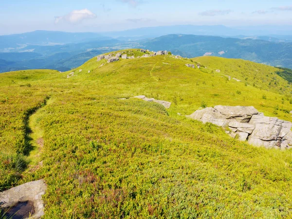 Cesta Přes Alpské Kopce Louky Horská Krajina Létě Příroda Krajina — Stock fotografie