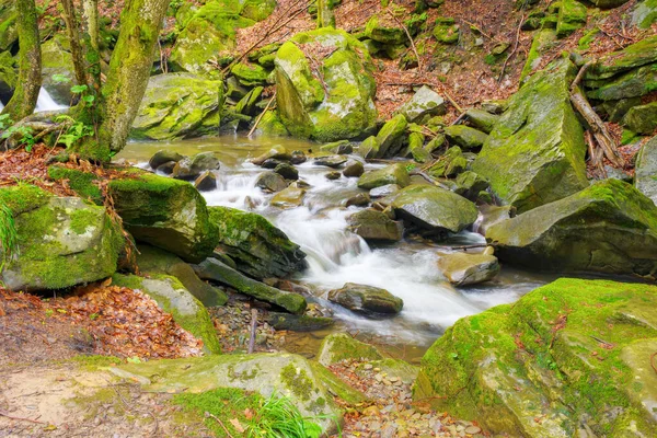 溪流中的石头 夏天的乡村自然景观 — 图库照片