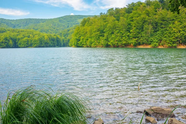 森の丘の間の穏やかな湖 夏の休暇シーズンだ リラックスしてレクリエーション屋外のコンセプト — ストック写真