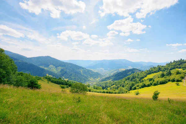 乡村的田野和森林丘陵上的草地 在遥远的山谷里的村庄 喀尔巴阡山乡村在夏天 山脉在远处 阳光灿烂的下午 天空中乌云密布 — 图库照片