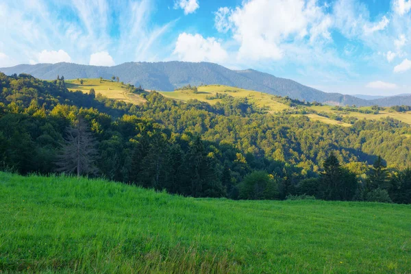 Mattina Fresca Tranquillità Del Paesaggio Montano Rurale Scenario Con Dolci — Foto Stock