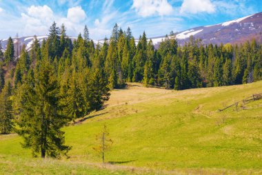 Orman tepeleri olan Carpathian kırsalında. İlkbaharın başlarında Podoboves Köyü ve Ukrayna Borzhava Tepesi 'nin çarpıcı manzarası