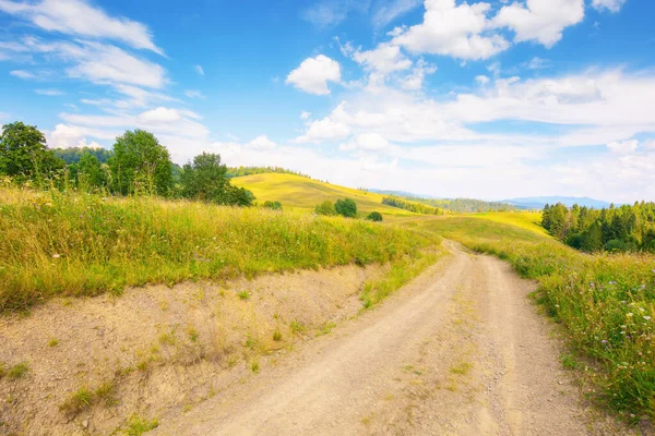 草の牧草地を通って車線 緑の丘の距離に転がり込む 地平線の遠くの山の尾根の上の青い空 夏の農村ツーリズムです ウクライナの田舎を探検する — ストック写真