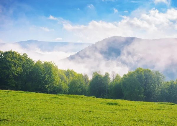 Carpathian Countryside Grassy Meadows Green Grassy Field Hills Spring Distant — Stock Photo, Image