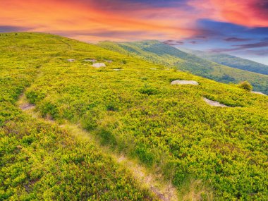 Çimenli çayırlarda iz var. Gün batımında renkli bir gökyüzünün altında Karpat Dağları manzarası