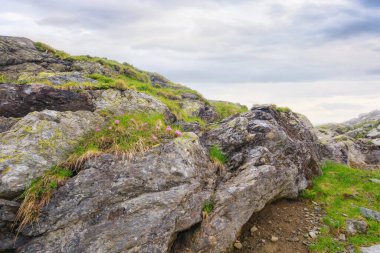 İbne dağlarının dik yamaçları, Romanya. Çimlerin arasında kayalar ve kayalar. Sisli hava. gizemli maceralar