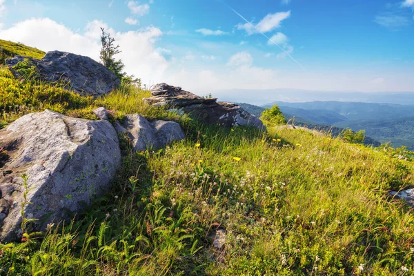 Górski Krajobraz Przyrody Drzewo Wzgórzu Wśród Skał Słoneczne Letnie Krajobrazy — Zdjęcie stockowe