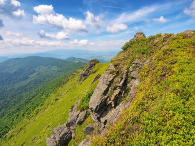 summer mountain landscape. rocks on the grassy hills. beautiful scenery on a sunny day