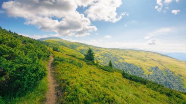 Dağ tepesinden geçen patika. Yazın Karpat Dağları 'nın muhteşem manzarası. Ukrayna 'ya seyahat