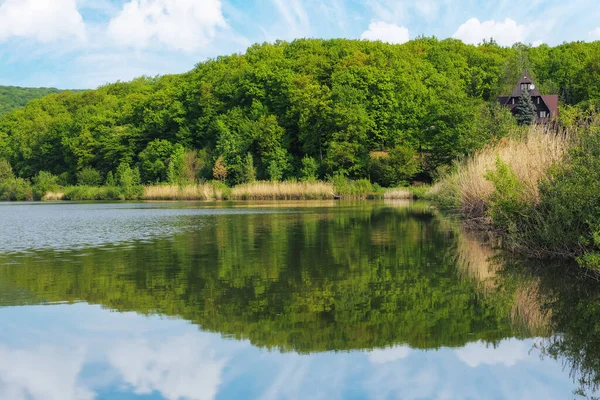 Lac Parmi Forêt Paysage Naturel Avec Réflexion Sur Eau Été — Photo