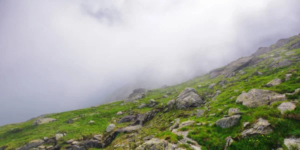 Laderas Empinadas Montañas Fagaras Romania Rocas Rocas Entre Hierba Tiempo — Foto de Stock