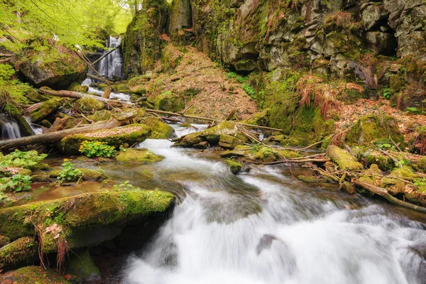 Wasserfall Bach Wald Schöne Natur Freien Hintergrund Viel Wasser Frühling — Stockfoto