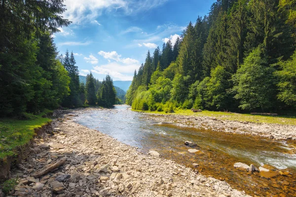 Naturlandschaft Mit Gebirgsfluss Grüne Umgebung Hintergrund Mit Steinen Ufer Und — Stockfoto