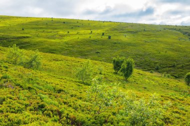 Dağlarda çayır olan kırsal bir manzara. Bulutlu gökyüzünün altındaki çimenli tepeler