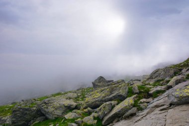 Sisli bir günde Romanya kırsal manzarası. Dik kayalık tepeleri olan dağlık doğa manzarası. İbnelerde yaz tatili