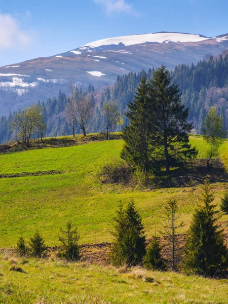Schönen Frühlingshintergrund Von Grasbewachsenen Hügeln Und Bergen Bäume Den Hängen — Stockfoto