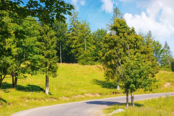 Scenic Road Peaceful Countryside Offering Breathtaking View Lush Landscape Peaceful — Stockfoto