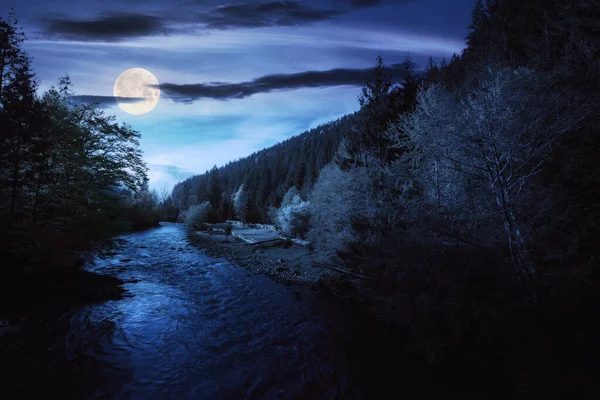 夜は山川の自然風景 海岸の石や満月の光の中の森林の丘を背景にした緑の環境 — ストック写真