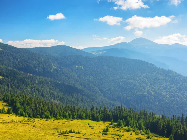 Yazın Karpatya Kırsalında Yeşil Çayırlar Orman Tepeleri Olan Manzara Parlak — Stok fotoğraf