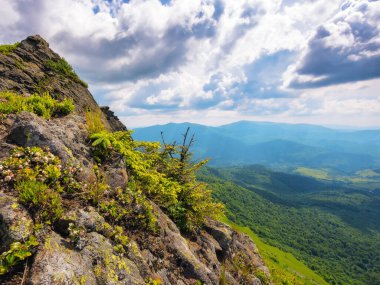 Yazın Karpatya manzarası. Uzaktaki vadiye bak. Ukrayna 'ya seyahat