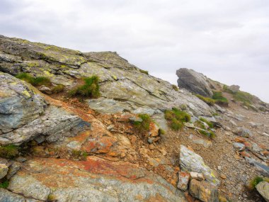 Romen Karpatlar için tehlike ve güzellik. Sisin içinde kayalık dik yamaçlar. bulutlu gökyüzü