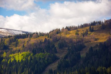 İlkbaharda dağlık kırsal alandaki orman tepeleri. Sabah vakti doğa manzarası bulanık bir ışık. ekoloji ve çevre arkaplanı