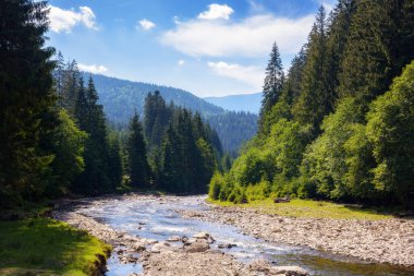 Dağ nehri ile kırsal alan. Yazın kuraklık. ekoloji felaketi