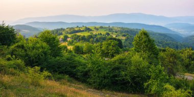 sunset over the rural valley. trees, fields and meadows on rolling hills. beauty of mountainous carpathian countryside