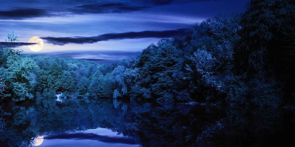 Jezioro Pośród Lasu Nocy Lato Natura Krajobrazy Pełni Księżyca Światło — Zdjęcie stockowe