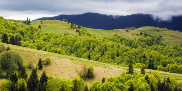 Krajina Loukou Horách Travnatá Venkovská Pole Pastviny Kopcích Oblačný Den — Stock fotografie