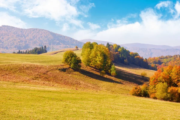 令人难以置信的秋天风景和五彩缤纷的树木 阳光明媚的早晨 在Borzhava山脊脚下的小山和草地 — 图库照片